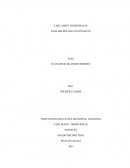 ANALISIS POLITICO EN PITALITO