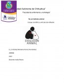 Ensayo científico y artículo de reflexión.