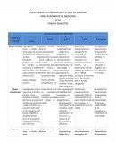 ÁREA ACADÉMICA DE MEDICINA