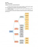Unidades estructurales y organización general