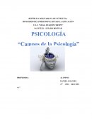 CAMPOS DE LA PSICOLOGIA