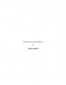 Memorias de un amigo imaginario