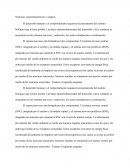 Neuronas, neurotransmisores y sinapsis.