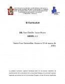 ENSAYO UPN CURRICULUM
