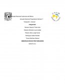 Práctica de Protozooarios