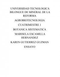 LAS PTERIDOFITAS DEL ESTADO DE HIDALGO. Página 1