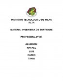 INGENIERIA DE SOFTWARE evolucion