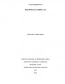 Costo y beneficios MAQUINPRO DE COLOMBIA S.A.S