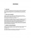 Todo acerca de las Proteinas