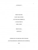 Actividad - Introduccion a la administracion. Precursores del siglo XX en la administración