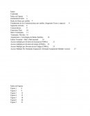 Teleproceso Redes de Datos por Satelite