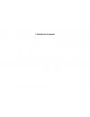 Micro EMPRESA carsomex