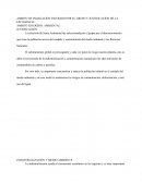 Ambito de indagación escogido por el grupo y justificación de la escogencia