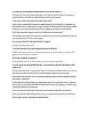 ¿Cuáles son los principios fundamentales en el juicio de amparo?