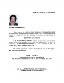 Constancia de Identificación