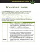 Composicion del cannabis