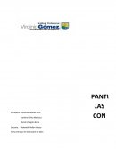 Teoría del modelo canvas