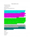 Pensamiento matemático- ´´El mundo de las formas´´