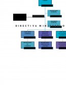 Se debe dividir en las principales funciones: planificar, organizar, dirigir, coordinar y controlar. Aunque son muchas las funciones, acciones e intereses que conforman la dirección del ministerio.