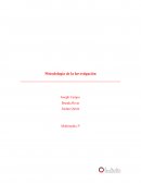 Presos políticos en Cuba y Venezuela