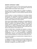 MADUREZ: CONTINUIDAD Y CAMBIO.