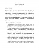 ESTUDIO DE MERCADO - ENSAYO