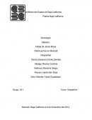 Sicologia- ¨Delincuencia en Mexicali¨