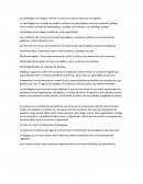 Apuntes de morfologia y sintaxis.