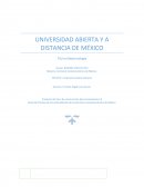 Línea del Tiempo de los antecedentes de la estructura socioeconómica de México