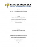 ELECTIVA 1: AUDITORIA INTERNA DE CALIDAD.