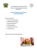 ANATOMIA (MORFOFISIOLOGIA HUMANA)