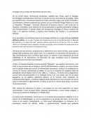 Teologia Critica, Ensayo del Nacimiento de Jesucristo.