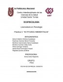 Práctica varias ambientales