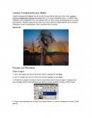 Gestion de proyectos.