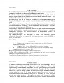 Filosofia del derecho - Ensayo