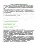 Los Niveles de organización del cuerpo humano.