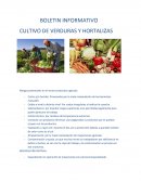 CULTIVO DE VERDURAS Y HORTALIZAS
