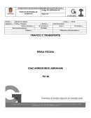 Cuadro comparativo - TRAFICO Y TRANSPORTE