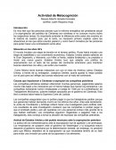 Actividad de Metacognición - La reforma Energetica