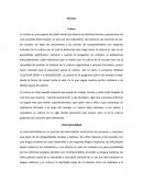 Conceptos y elementos basicos del curriculum.