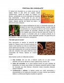 FESTIVAL DEL CHOCOLATE.
