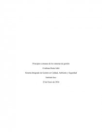 Principios comunes de los sistemas de gestión.. Página 1