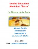 Unidad Educativa Municipal la mosca de la fruta kari mishu.