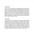 Introduccion y conclusion agua.