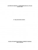 LOS DRECHOS HUMANOS Y LA RESPONSABILIDAD DE LA POLICIA EN ESTE TEMA.