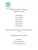 PROGRAMA DE INGENIERIA INDUSTRIAL