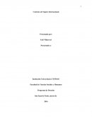 Contrato de Seguro Internacional