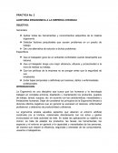 AUDITORIA ERGONOMICA A LA EMPRESA CHEDRAUI