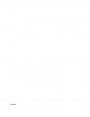 En la siguiente tarea se desglosa el proceso contable de un negocio en donde se identificarán los pasivos, activos y capital contable. Así como el desglose del capital contable y las utilidades para que los inversionistas del negocio puedan conocer la s