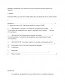 RAZONES POR LAS QUE NO SE DEBE APLICAR LAS MEDIDAS DE SALVAGUARDIA